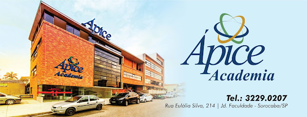 Ápice Academia