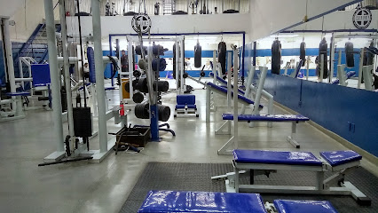 Centro de Treinamento ONE¹