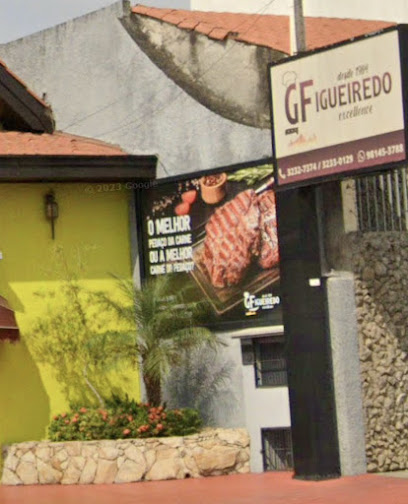 GFigueiredo Excellence