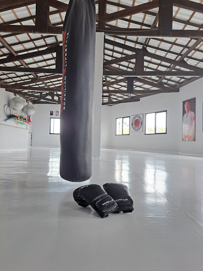 Ikigai Jiu-Jitsu Dojô