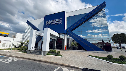Ossel Assistência Millennium