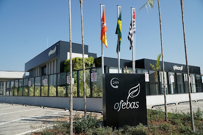 Ofebas Zona Norte