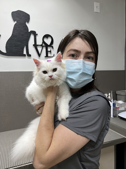 BastVet Centro Veterinário