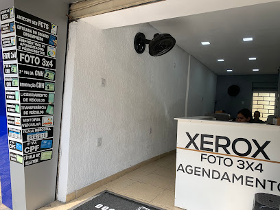 Documentista