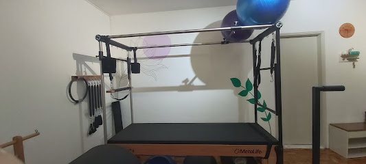 Studio de Pilates e Fisioterapia Anali Ferreira