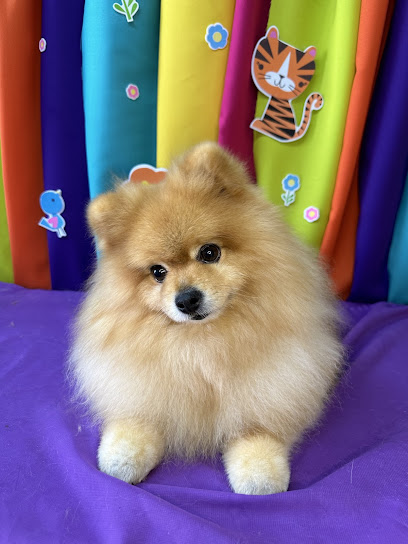 Life Pet Shop